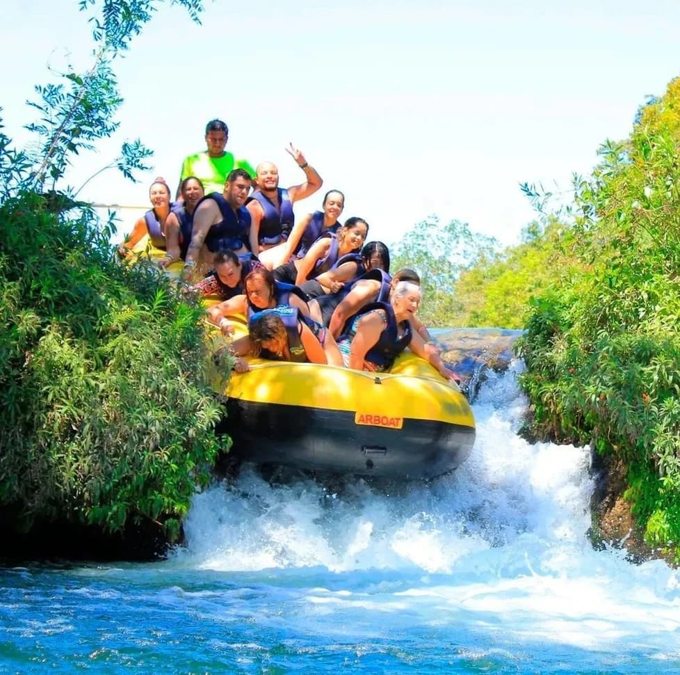 Passeio De Bote No Porto Da Ilha.