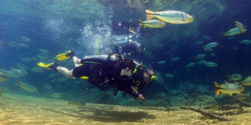 Mergulho Com Cilindro No Rio Da Prata