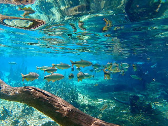 Rio da Prata
