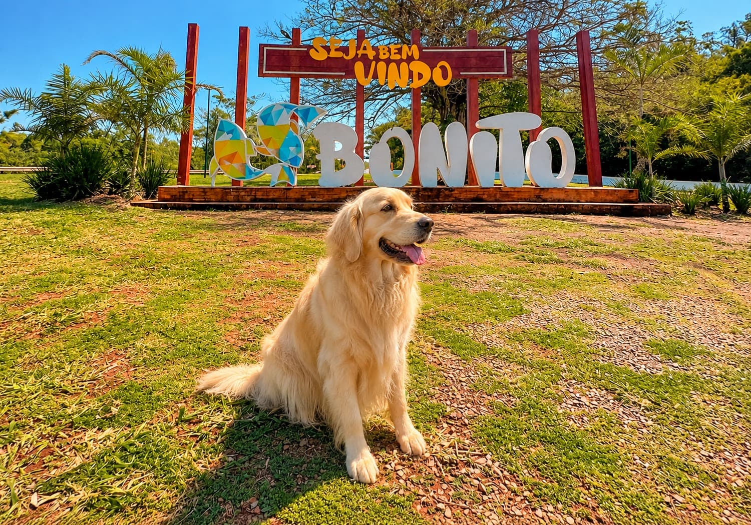 Bonito-MS Pet Friendly: Passeios e Hospedagens para Viajar com seu Pet